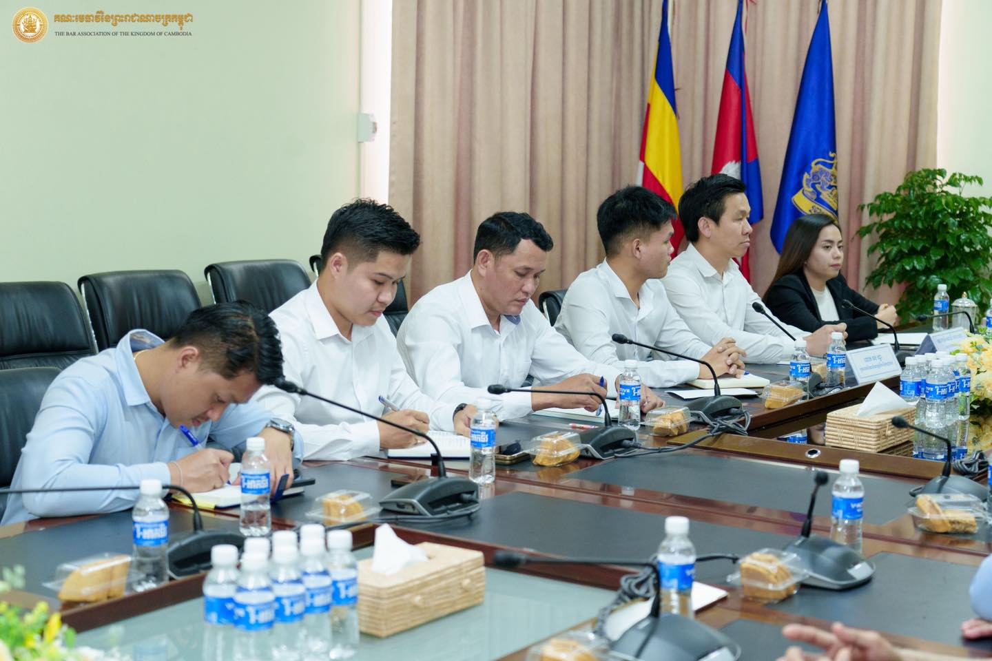 I3 650245020 1469748681611015 2350247499928931327 n